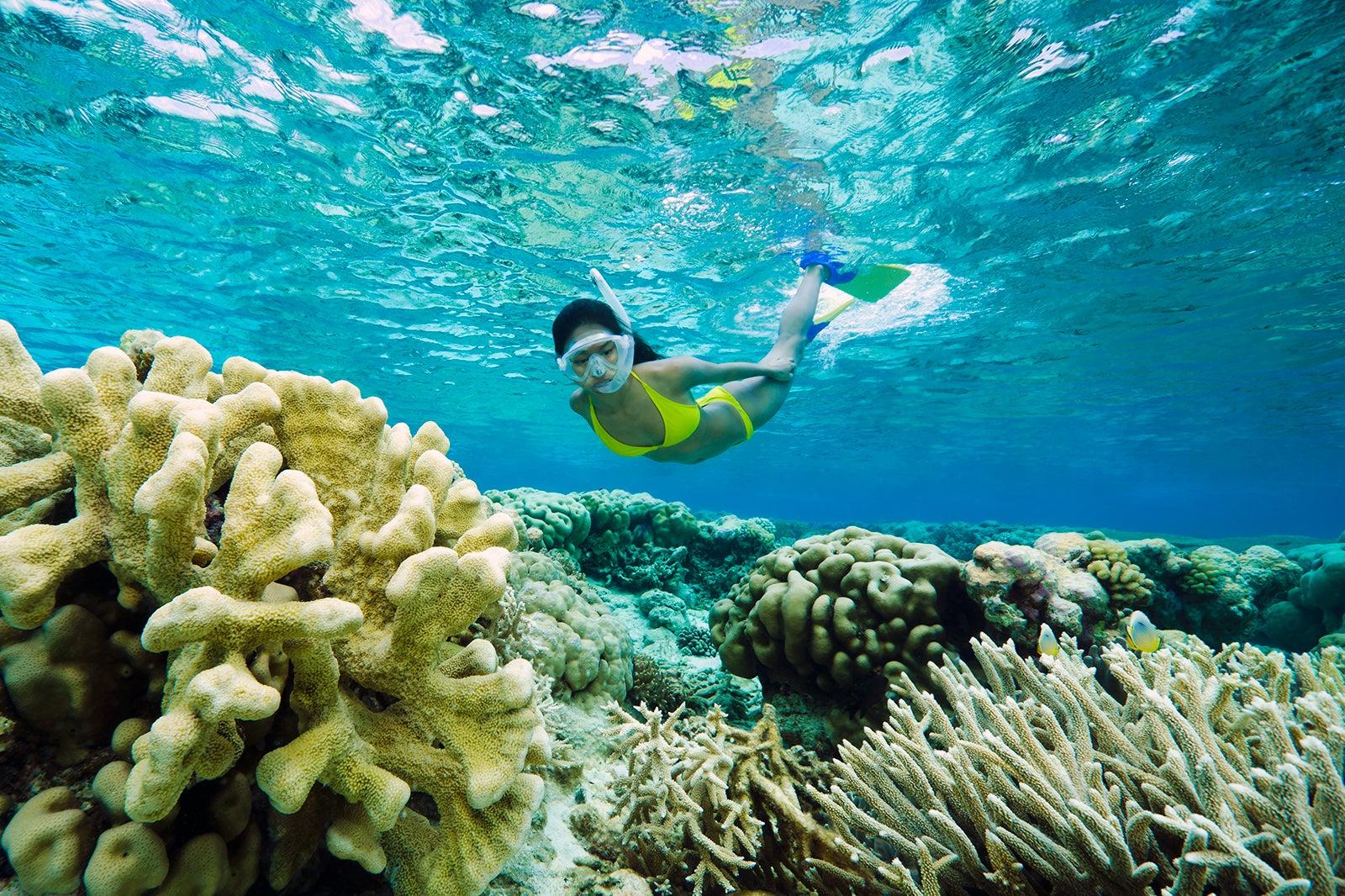 Snorkeling in Boracay