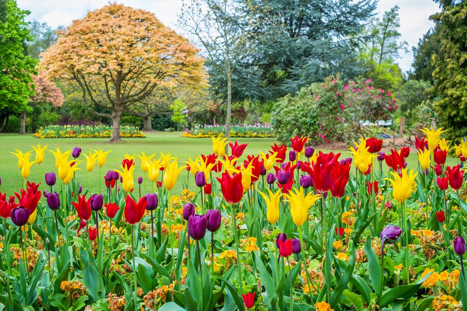 Best Parks in Birmingham