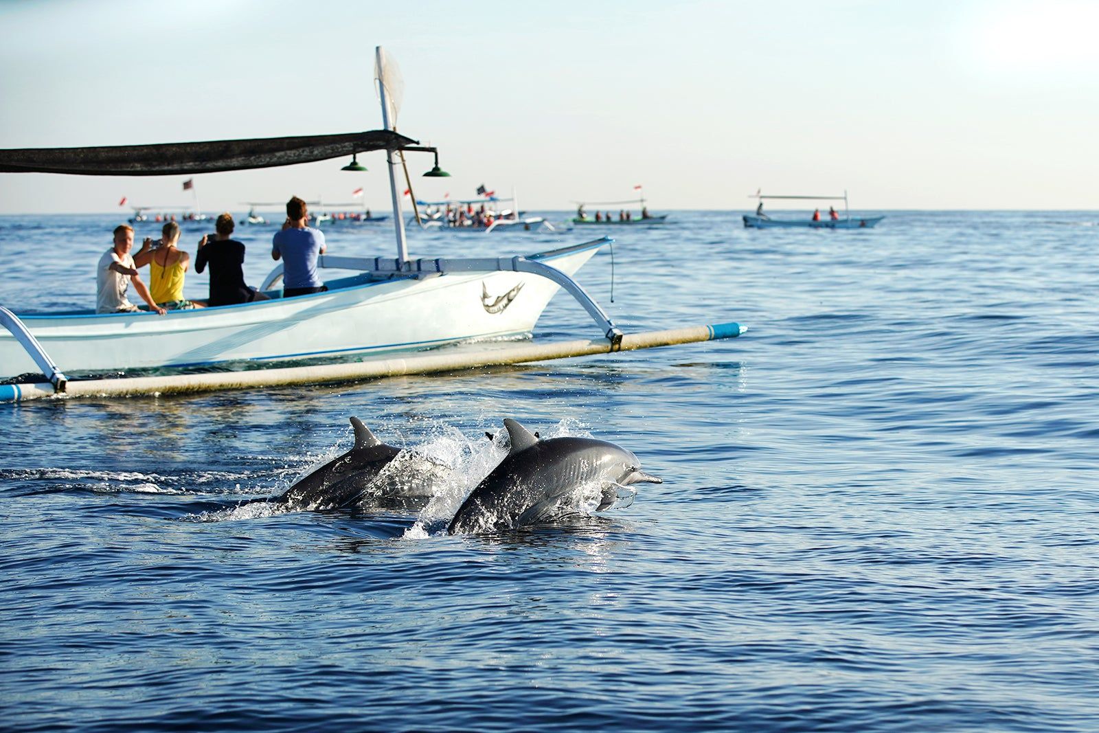 Dolphin Watching at Lovina Beach