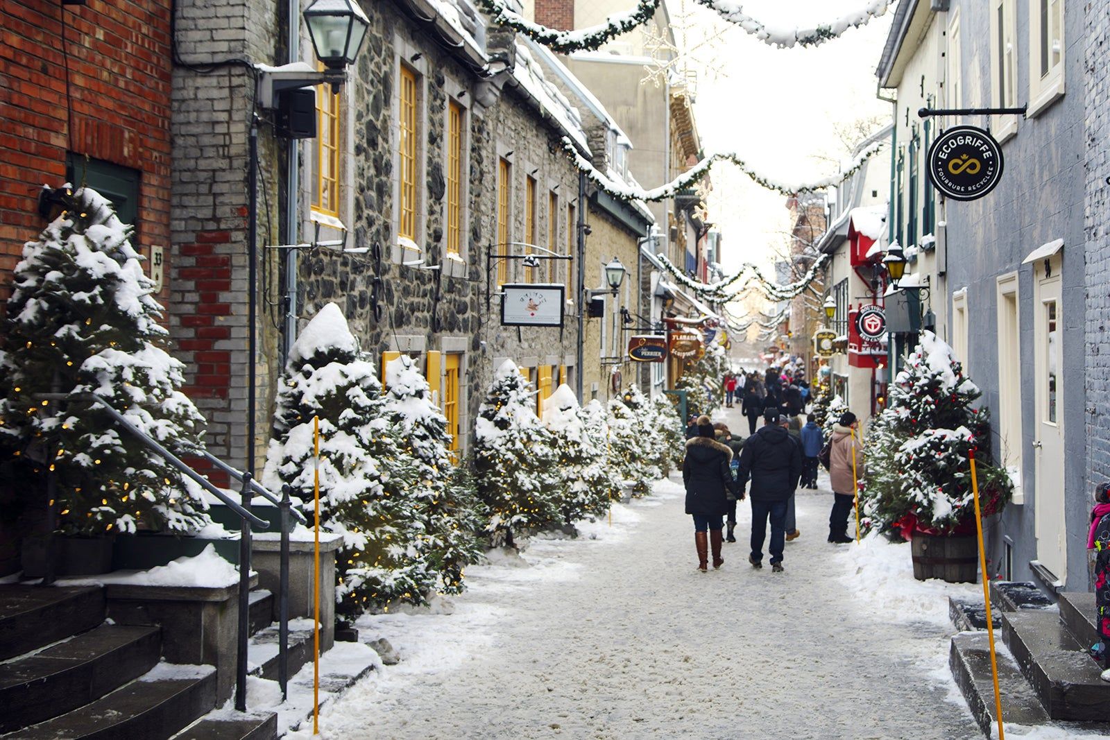 Things to Do in Quebec City in Winter