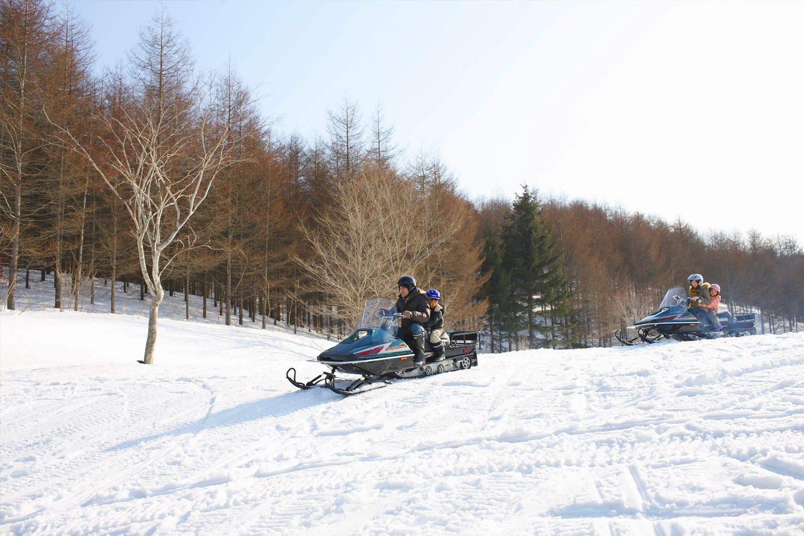 Top 10 Recommended Family Sightseeing Spots in Sapporo