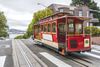 San Francisco Travel Essentials