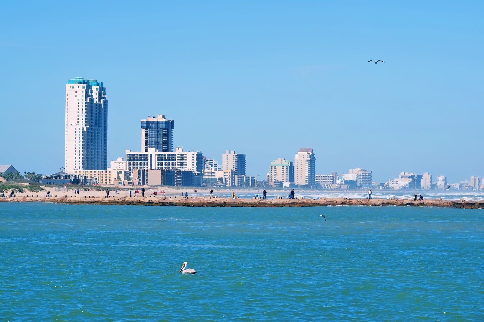 Best Things to Do in South Padre Island