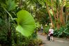 Best Things to Do in Bukit Timah
