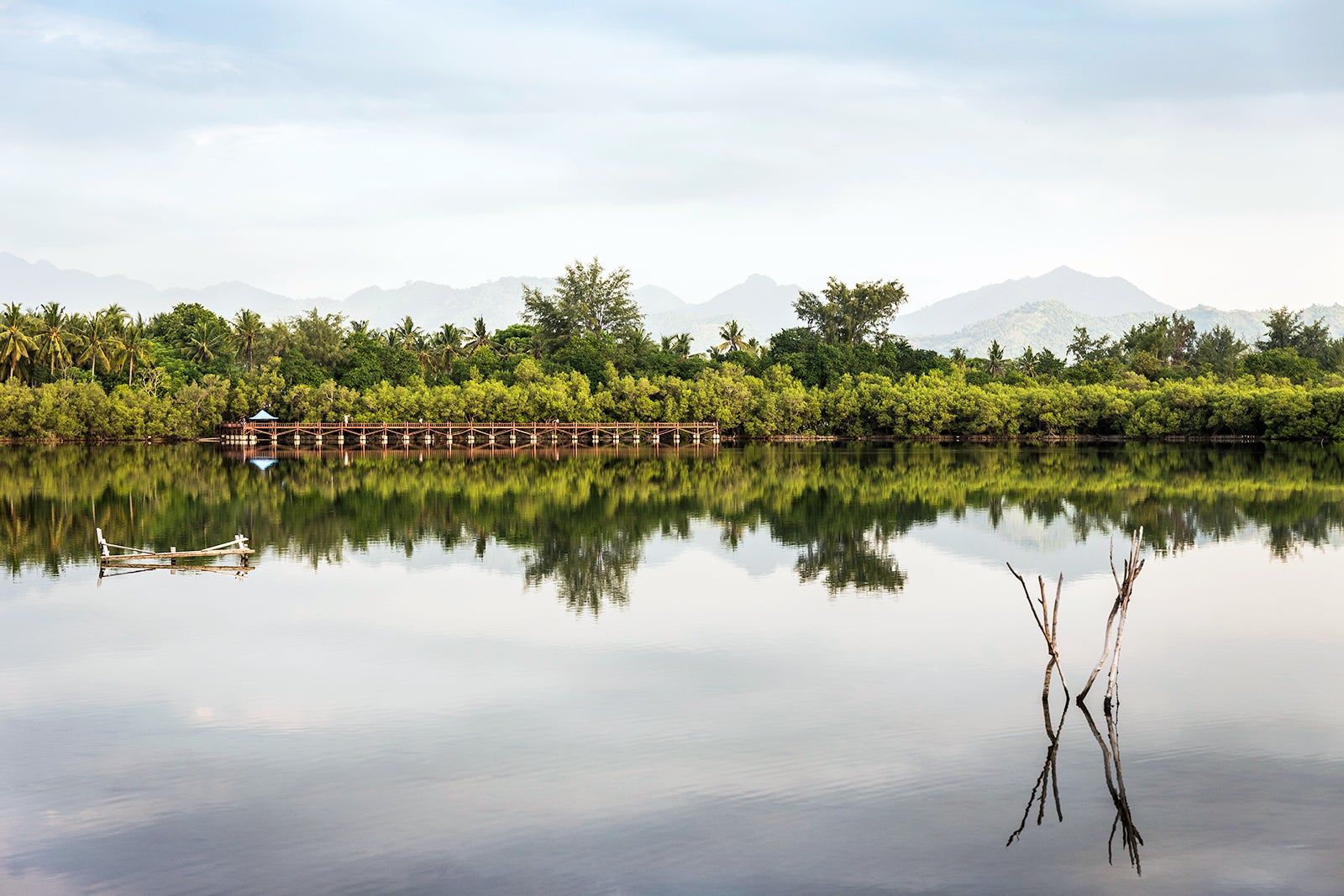 Gili Meno Saltwater Lake and Mangrove Fores