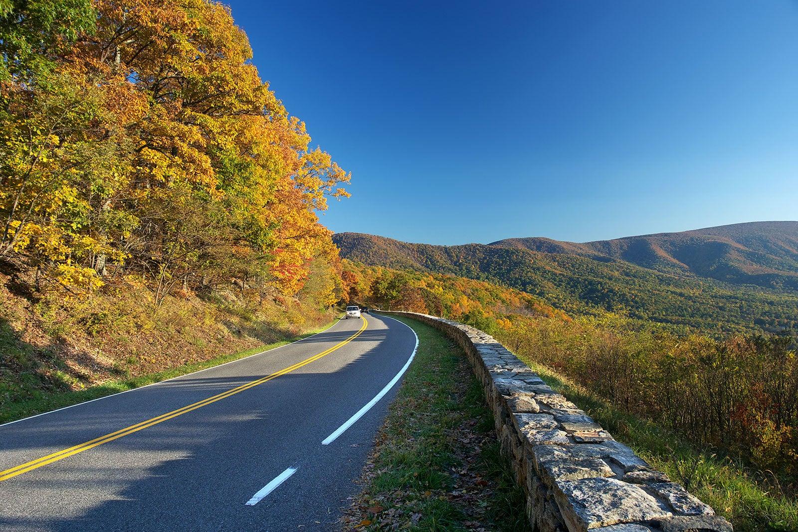 Open road with yellow fall colors.