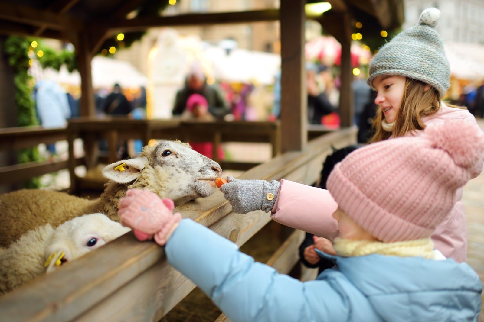 LOVE Gorgie Farm in Edinburgh