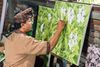 Balinese Paintings