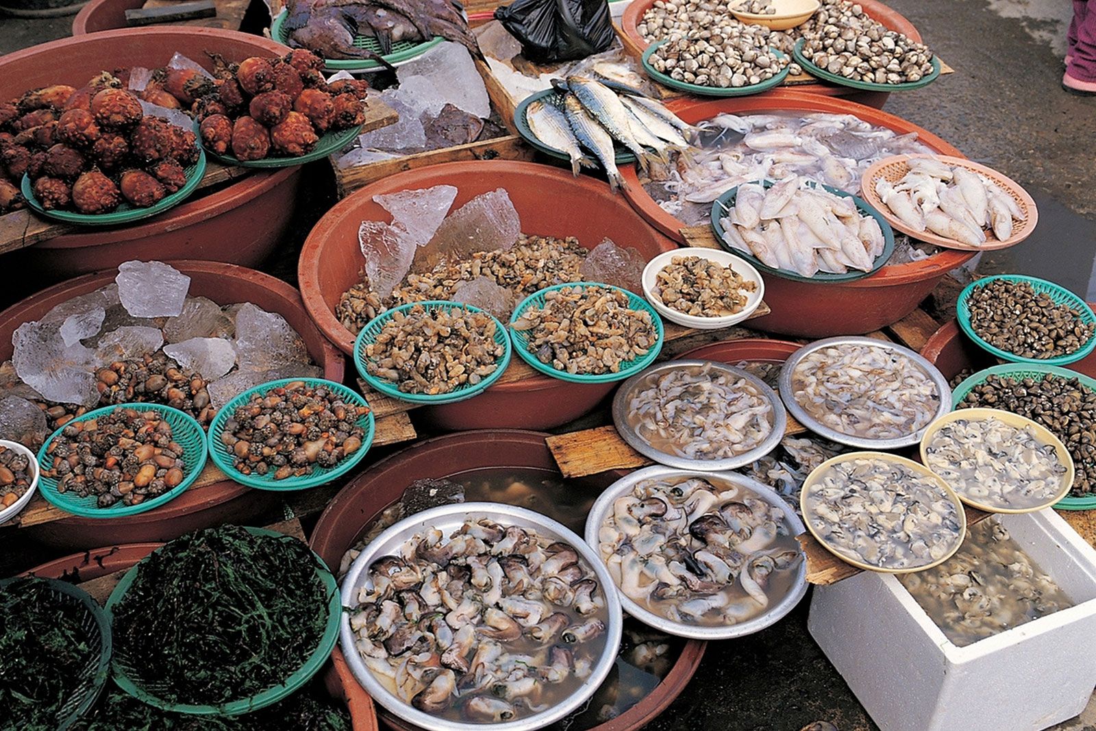 A various type of fish in a bowls for selling in a fish market.