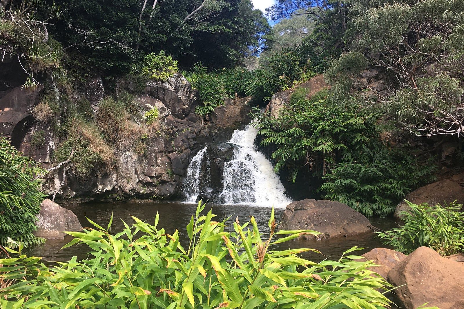 Waimea Valley in Oahu