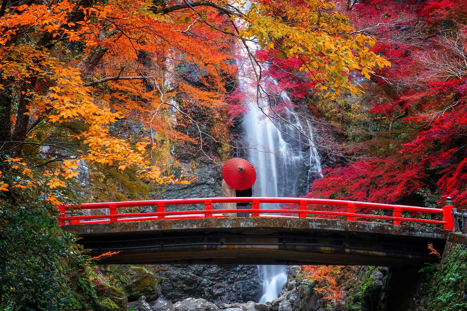Best Things to Do for Couples in Osaka