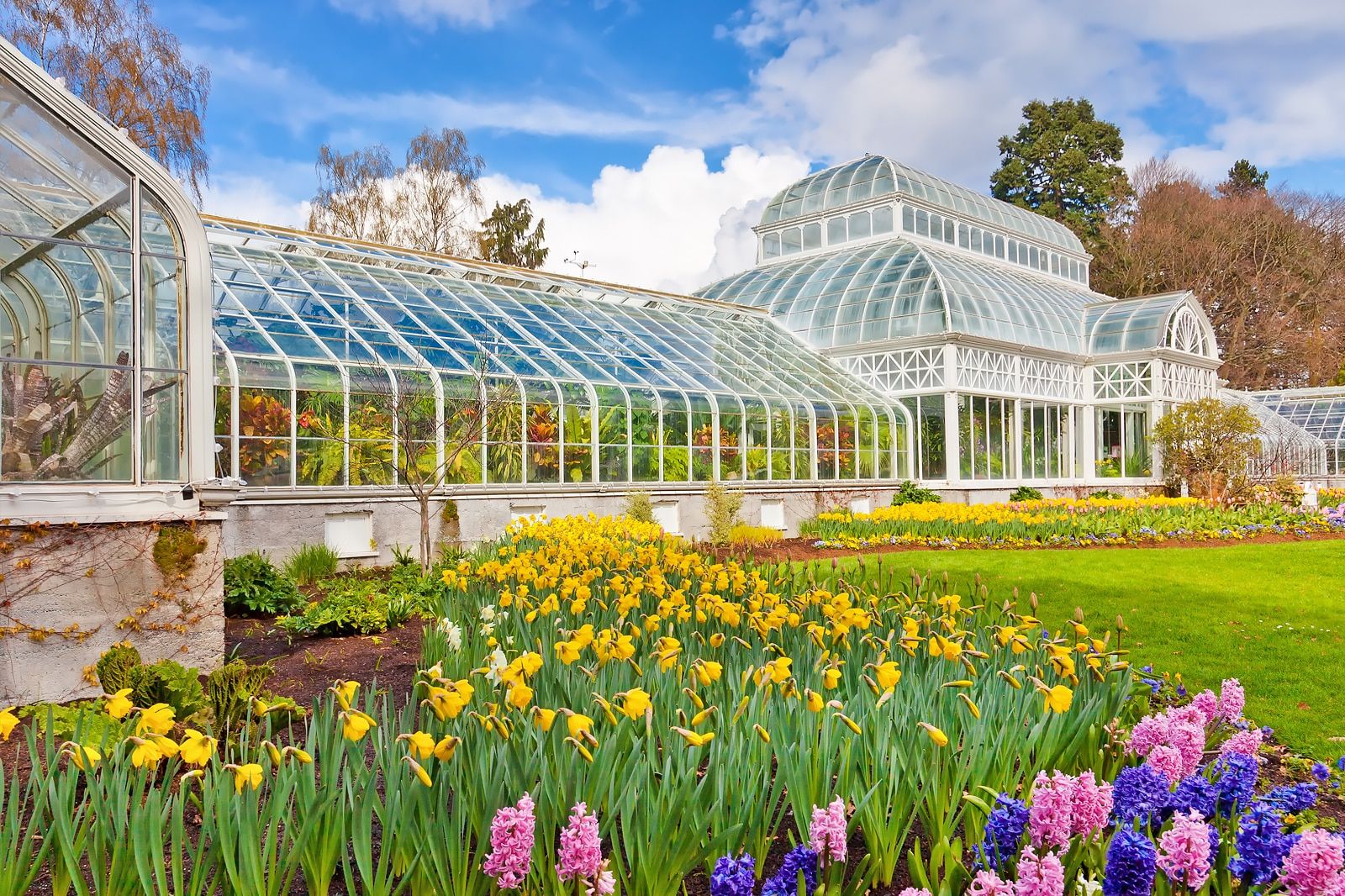 Things to Do in Seattle When it Rains