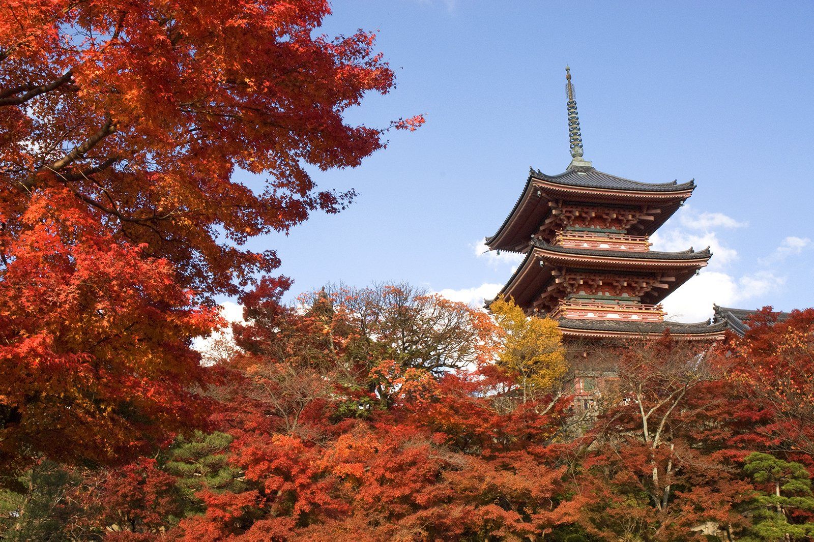 10 Best Things to Do in Japan