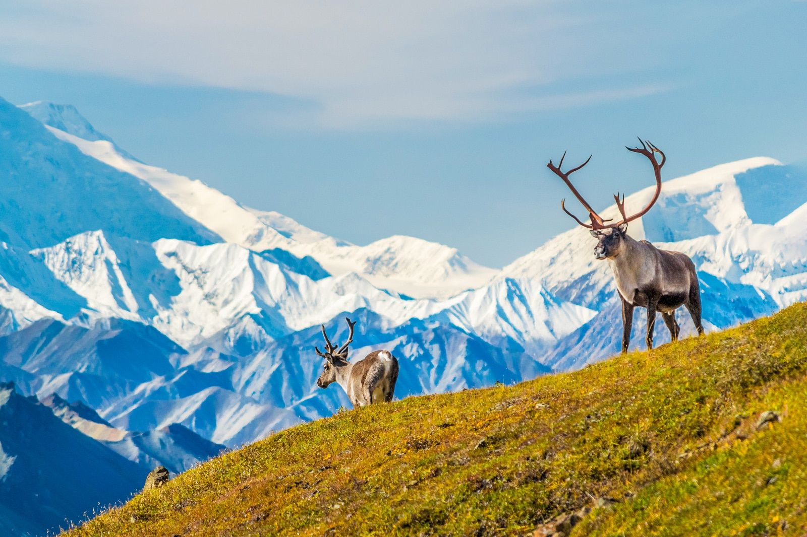 Best Natural Wonders in Alaska