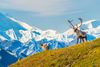 Best Natural Wonders in Alaska