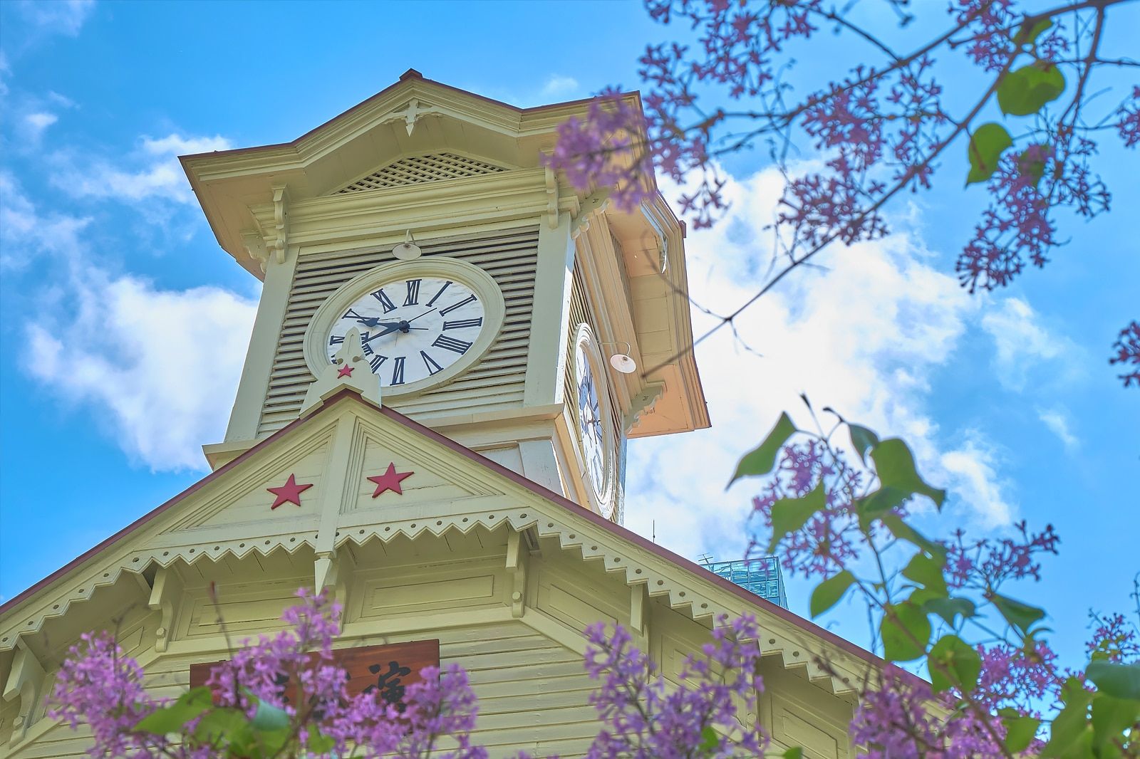 Best Places Locals Love to Go in Sapporo