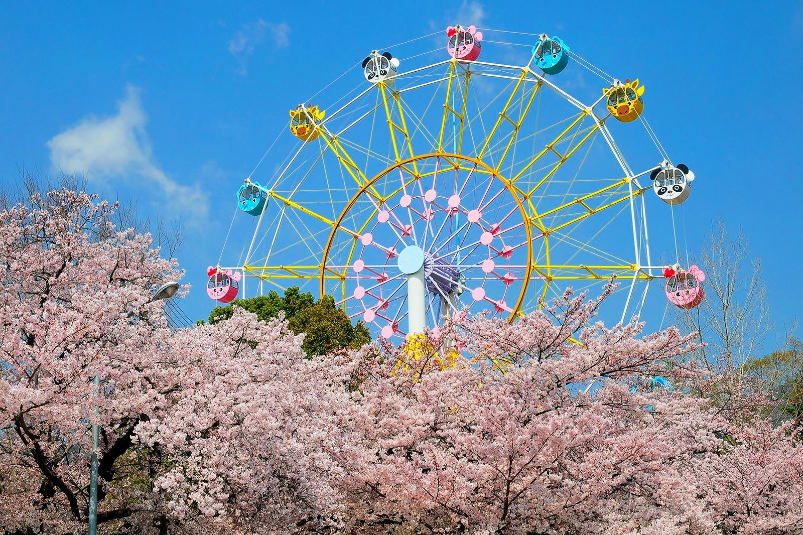 Best Family Things to Do in Hyogo