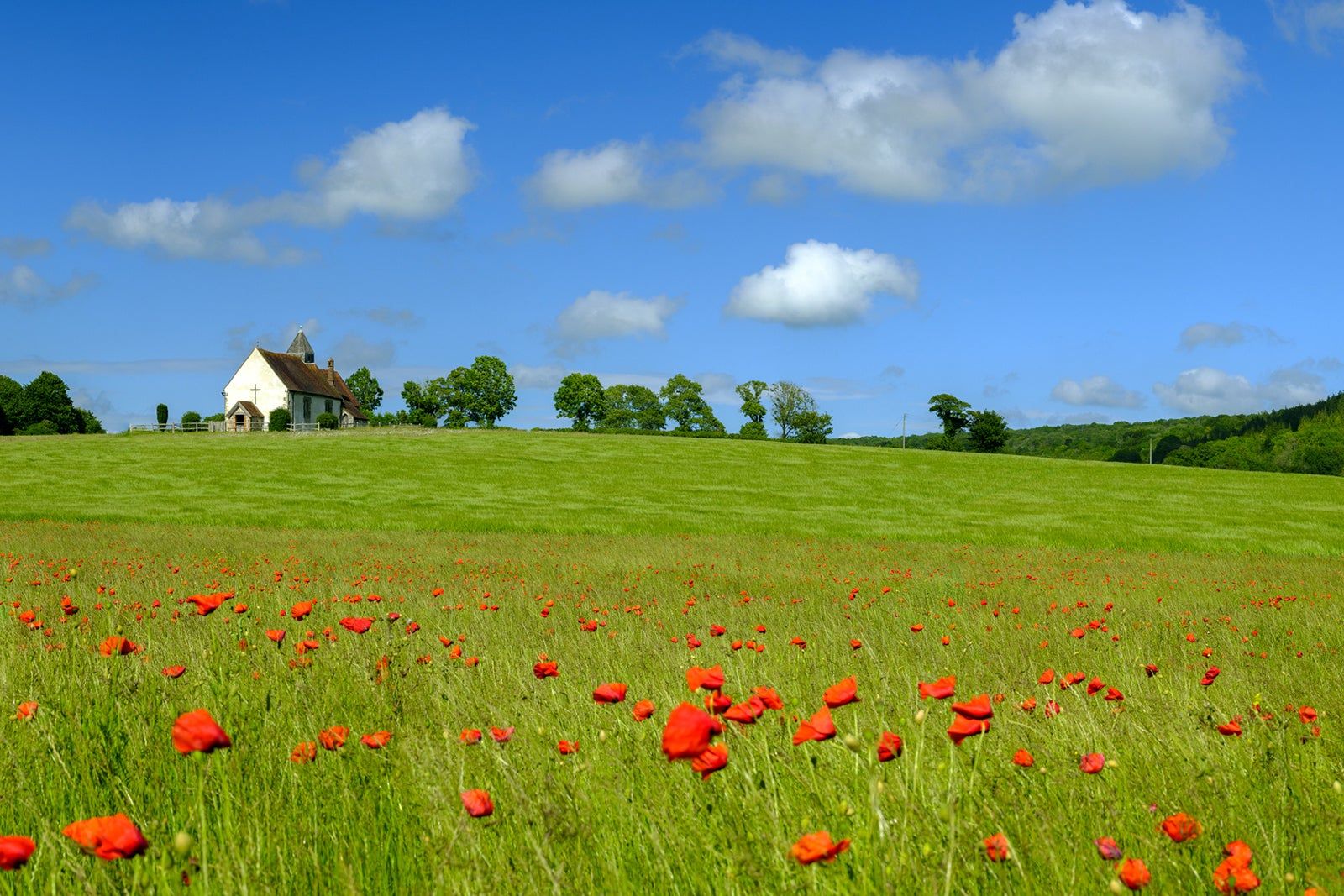 Best Things to Do in West Sussex