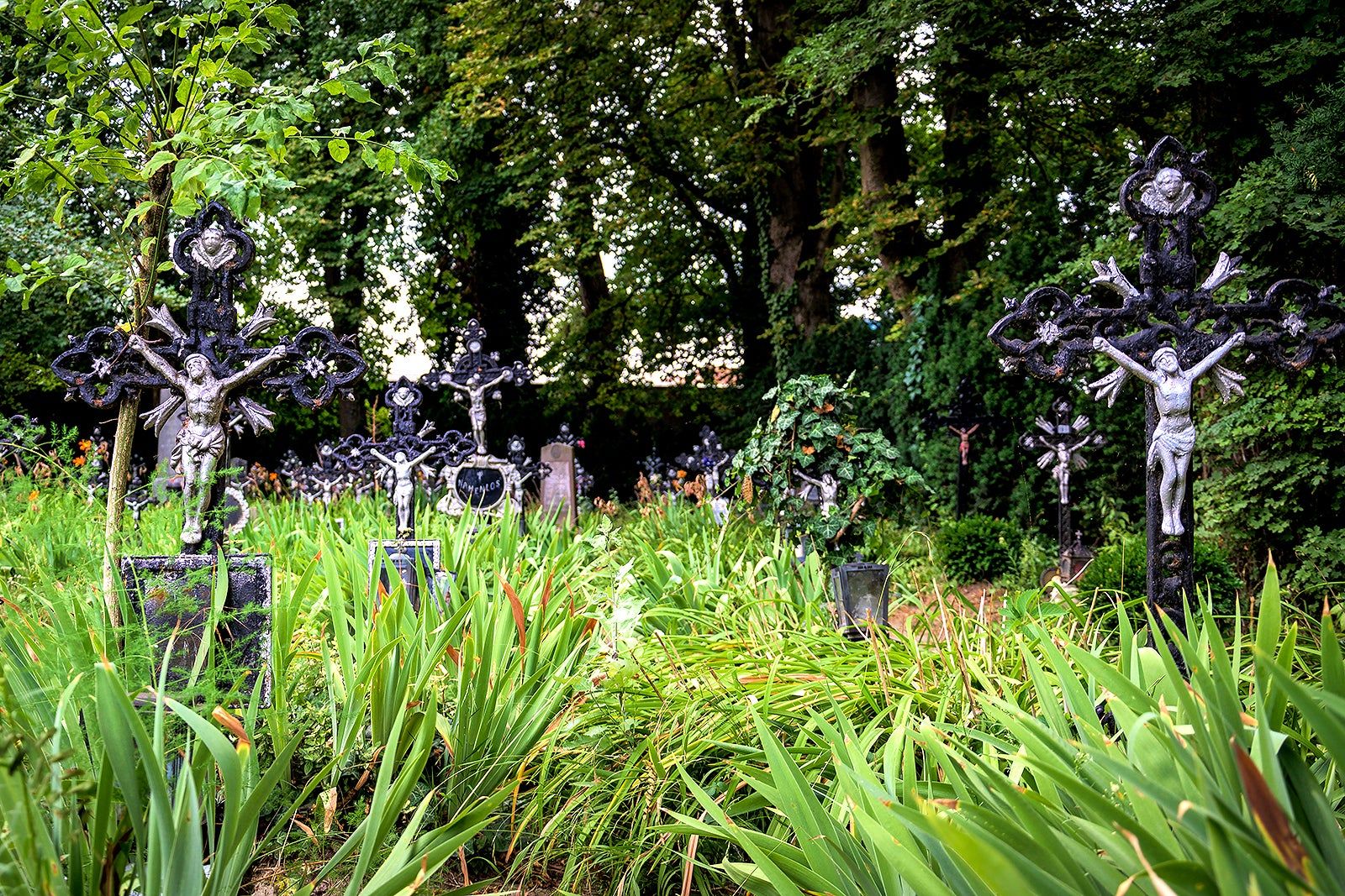 Things to Do Off the Beaten Track in Vienna