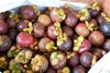 Foto de <a href="https://pixabay.com/photos/fruits-purple-mangosteen-mangosteen-2637541/" target="_blank" rel="noreferrer">bluebeens</a> (<a href="https://creativecommons.org/share-your-work/public-domain/cc0/" target="_blank" rel="noreferrer">CC0</a>)  modificada