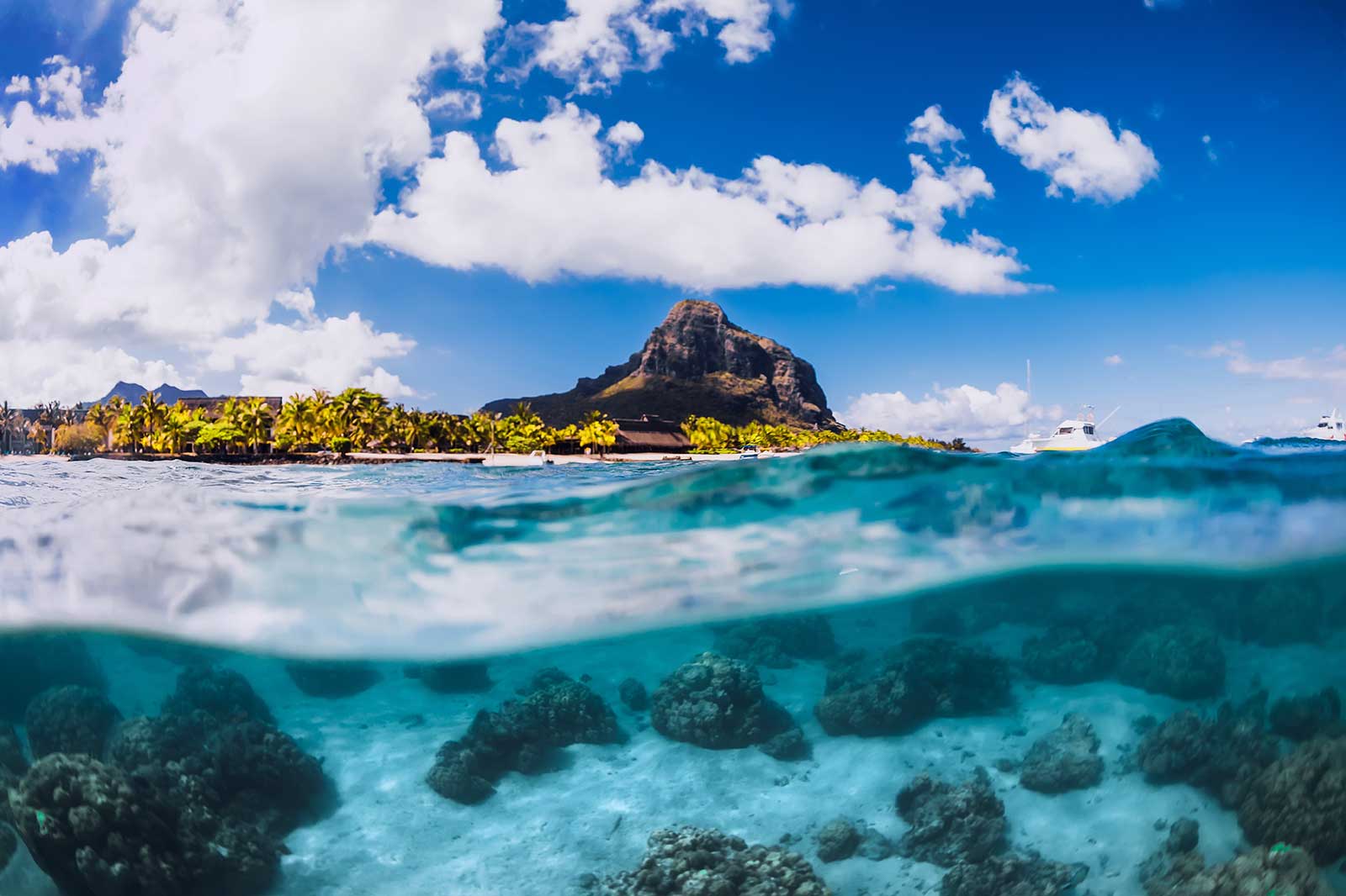 Crystal clear water, palm trees, a mountain.