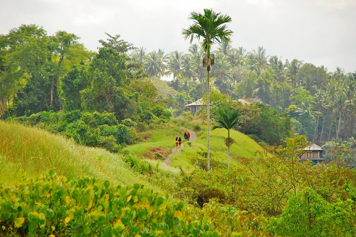 Campuhan Ridge Walk in Bali