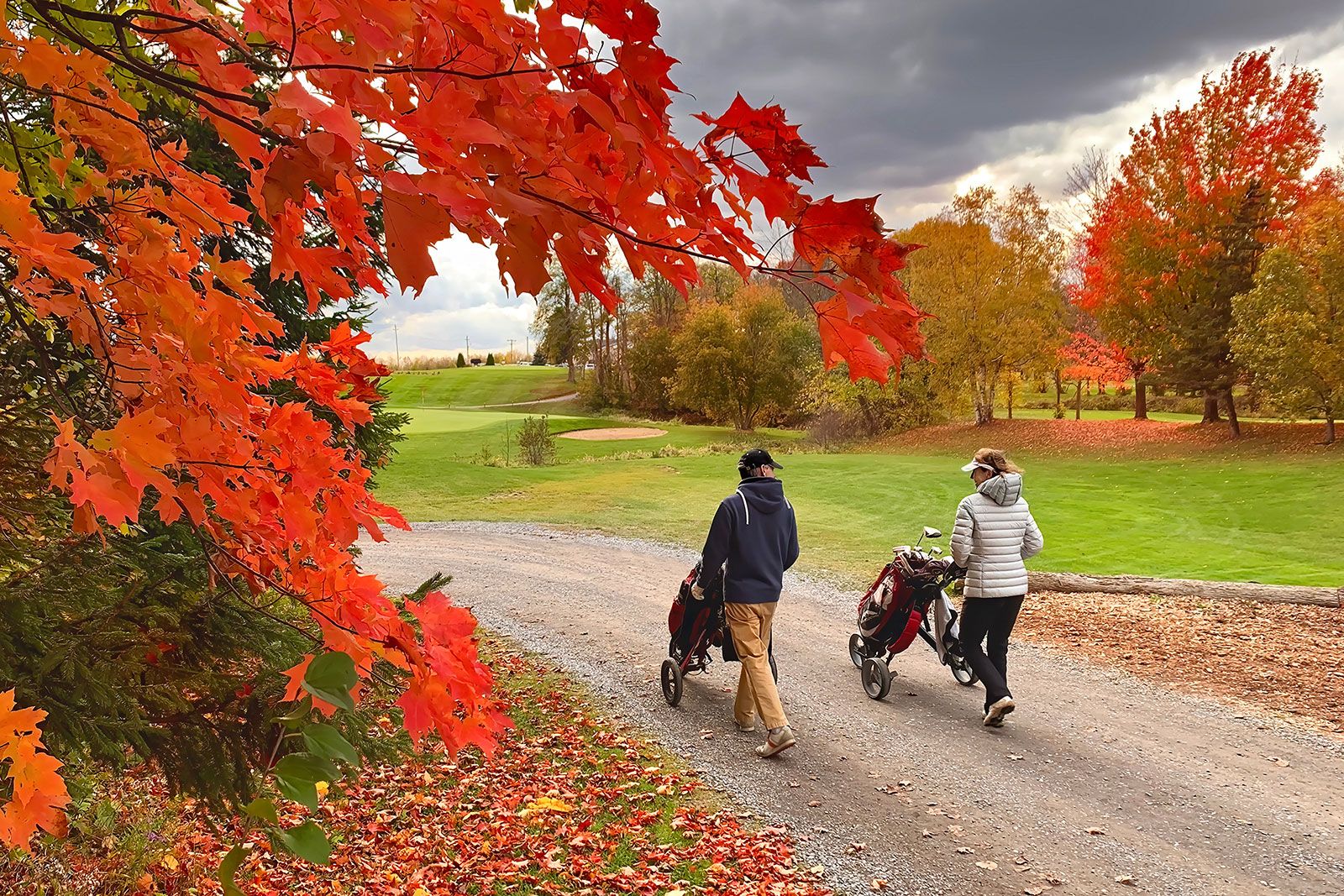 Two golfers pushing their golf carts down a path next to a maple trees. 
