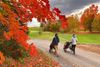 Two golfers pushing their golf carts down a path next to a maple trees.