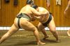Sumo action at Arashio-Beya