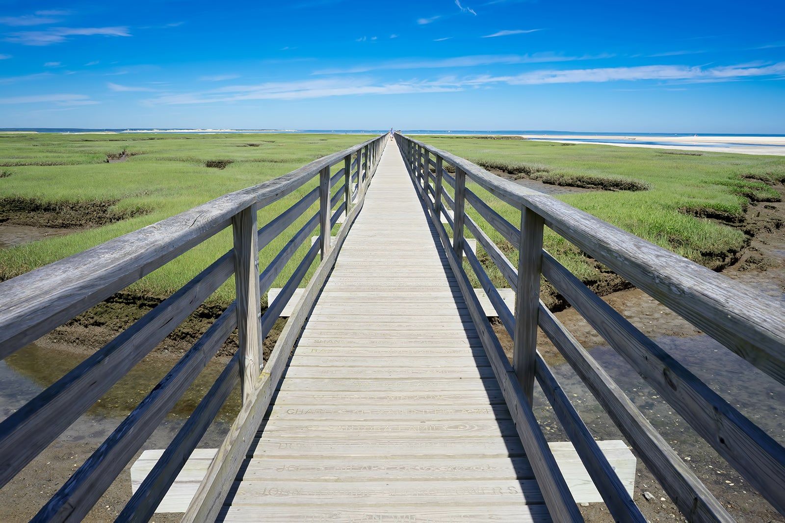 10 Things to Do in Cape Cod