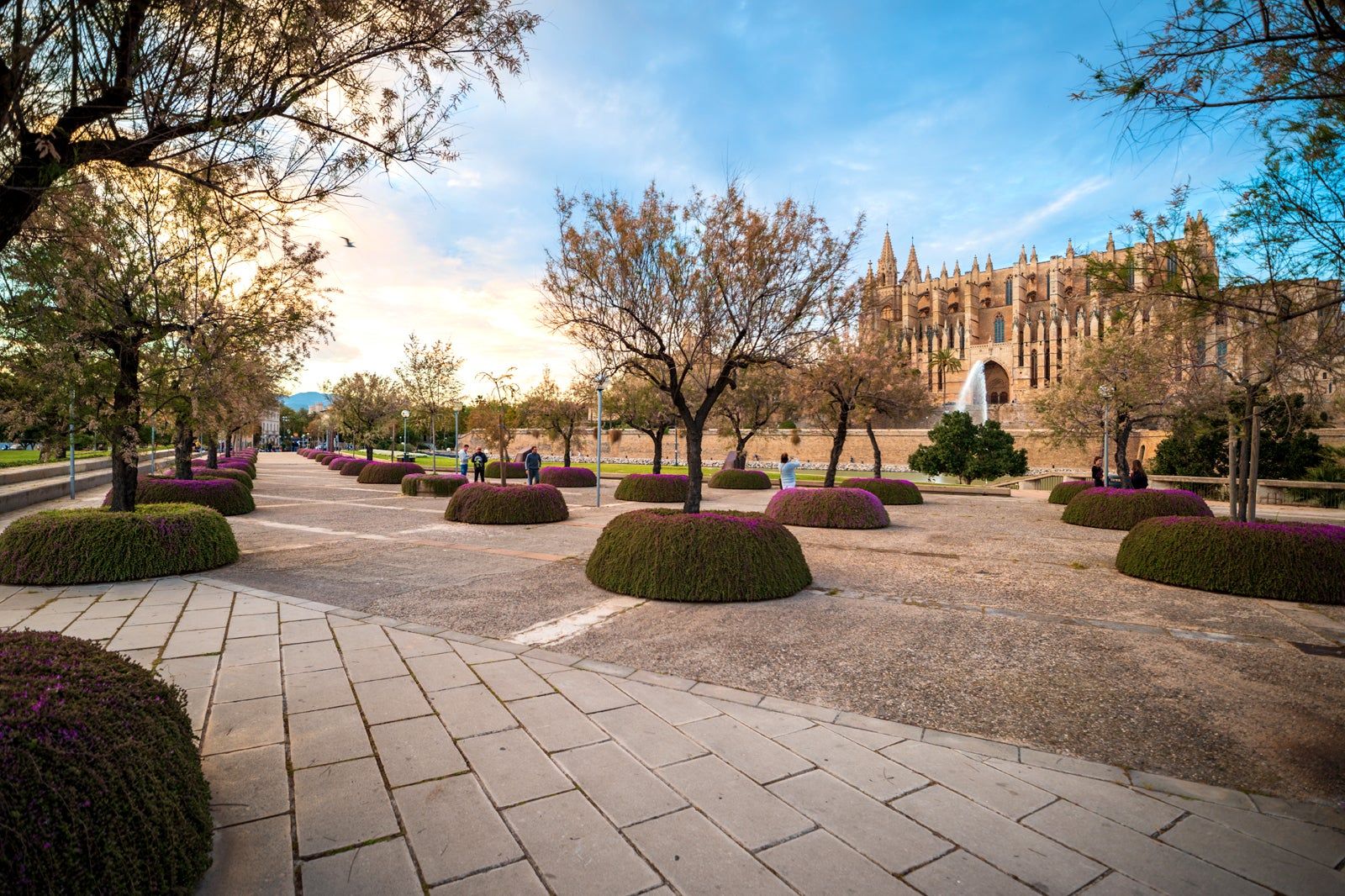 Catedral-Basílica de Santa María de Mallorca