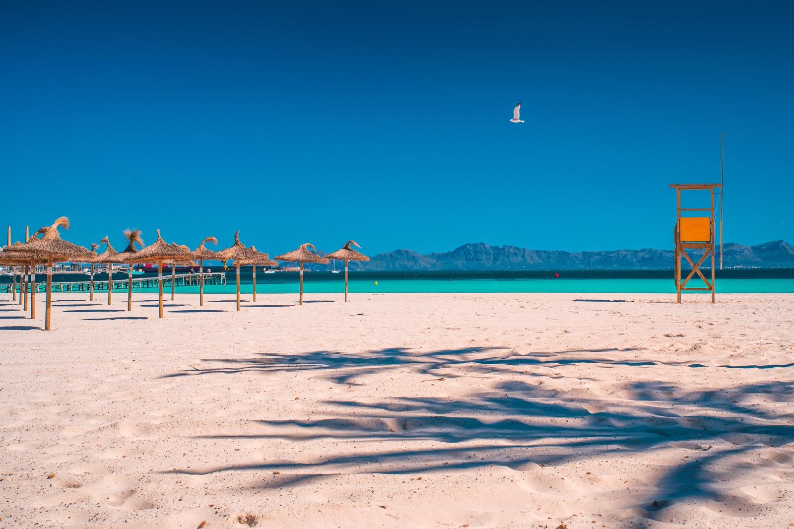 Playa d’Alcúdia in Mallorca