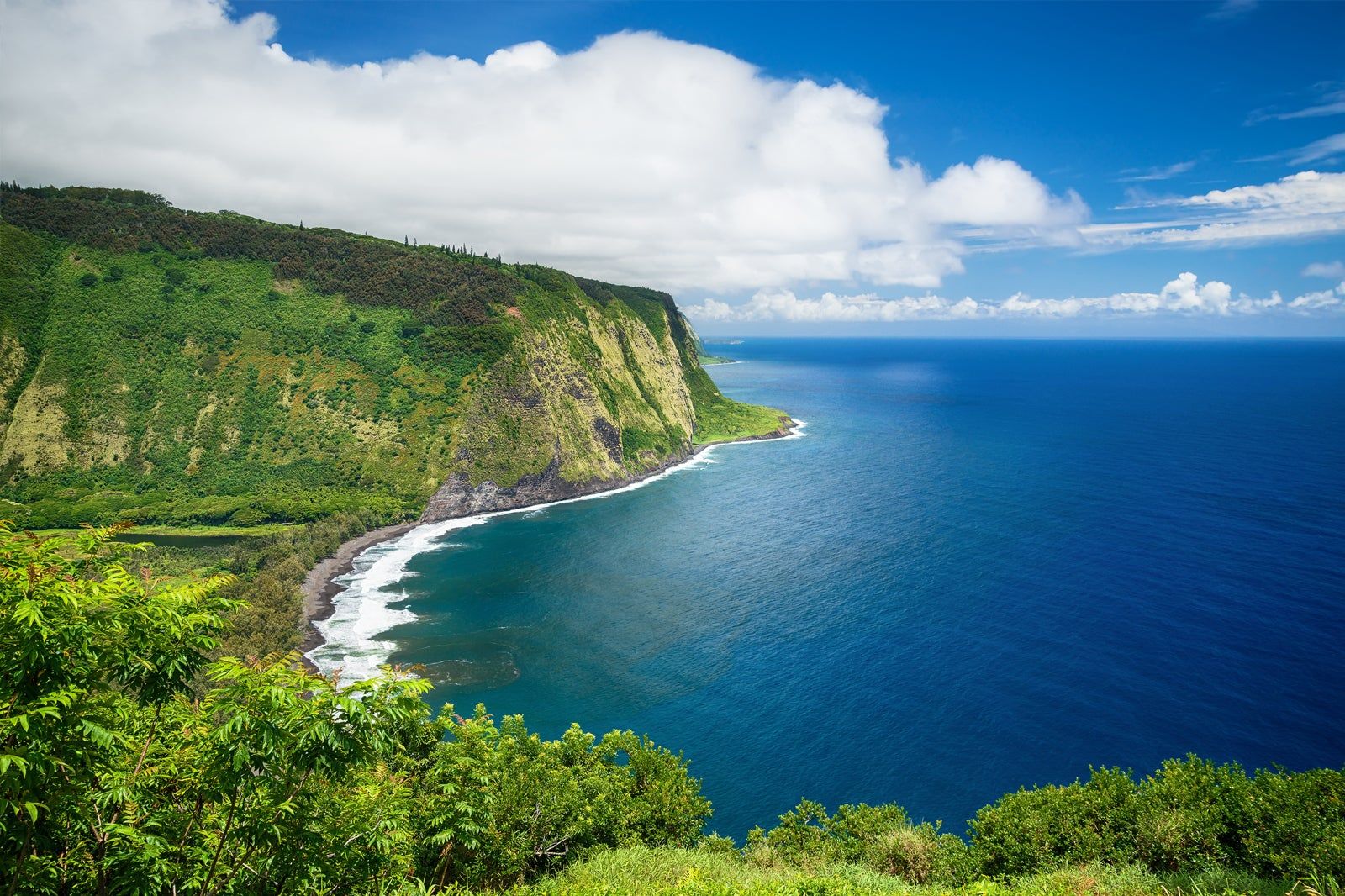 Best Family Things to Do on Hawaii Big Island
