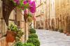 An Italian street with brick houses and lined with flowers and plants.