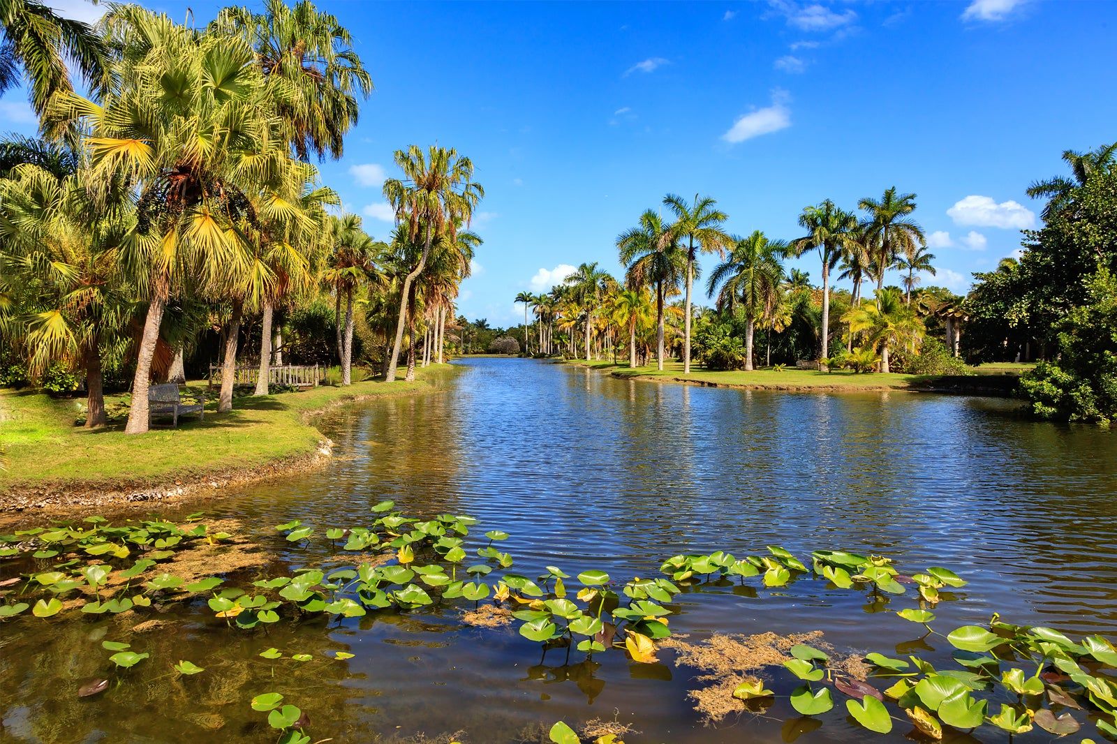 Fairchild Tropical Botanic Garden in Miami