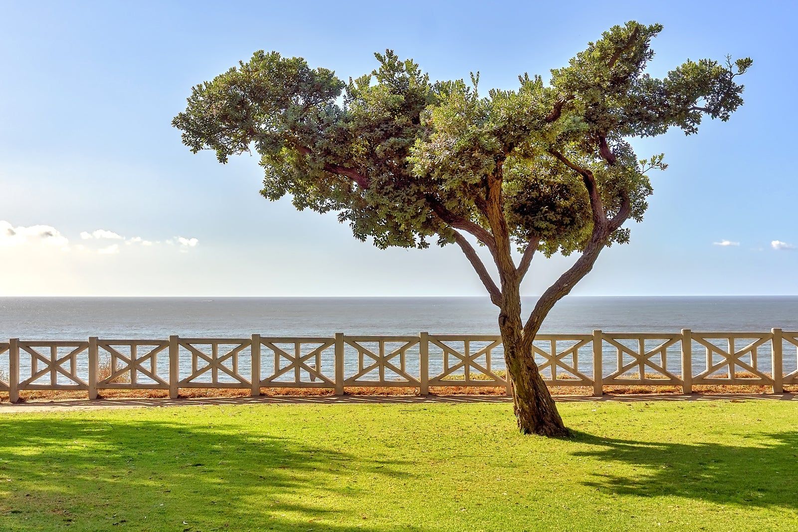 Palisades Park in Santa Monica
