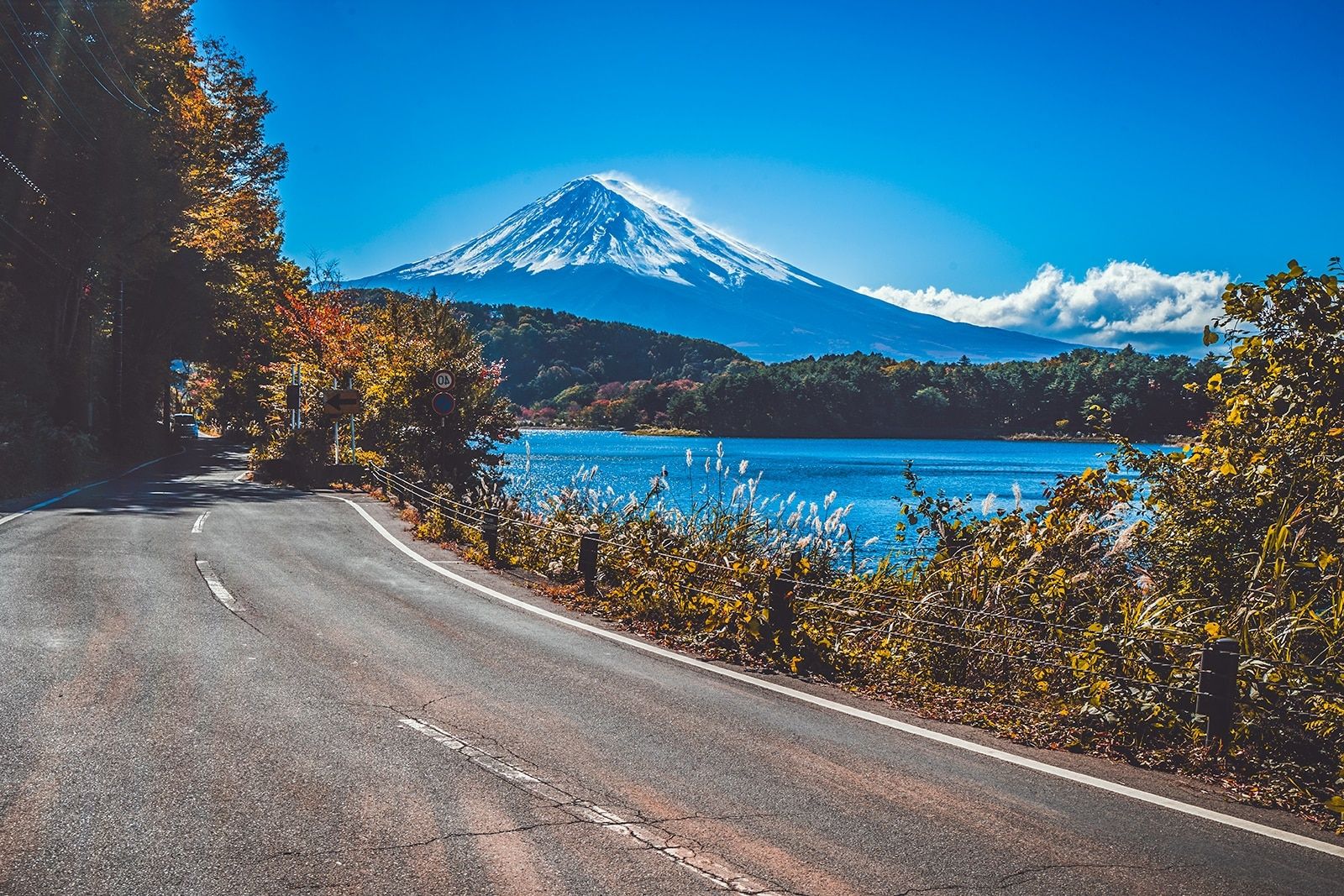 Japanese road trip with superb views
