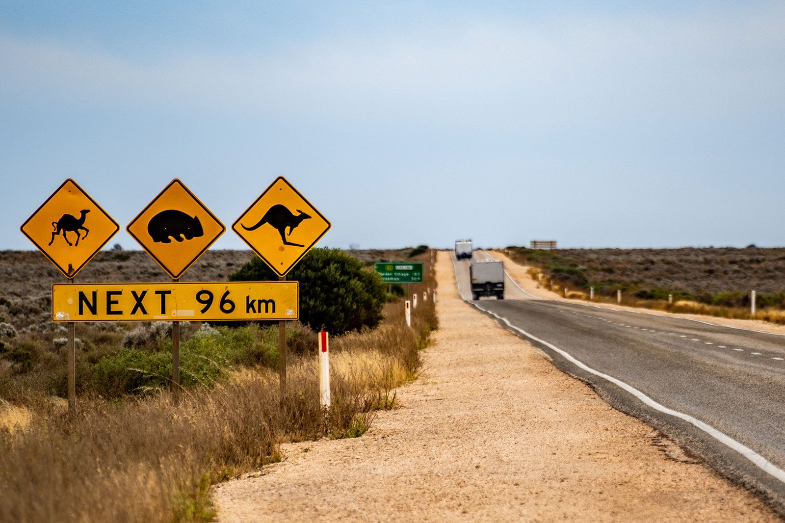 Road signs warning about camels, wombats and kangaroos.