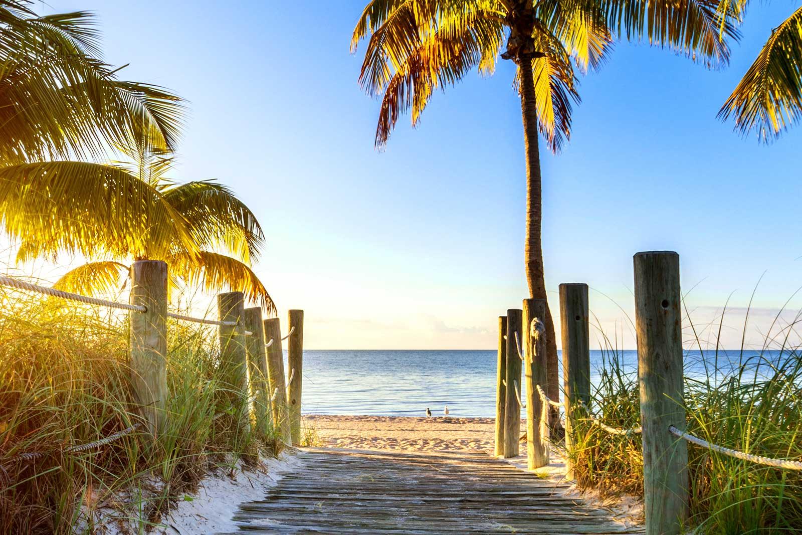 Palm trees and the beach entrance.