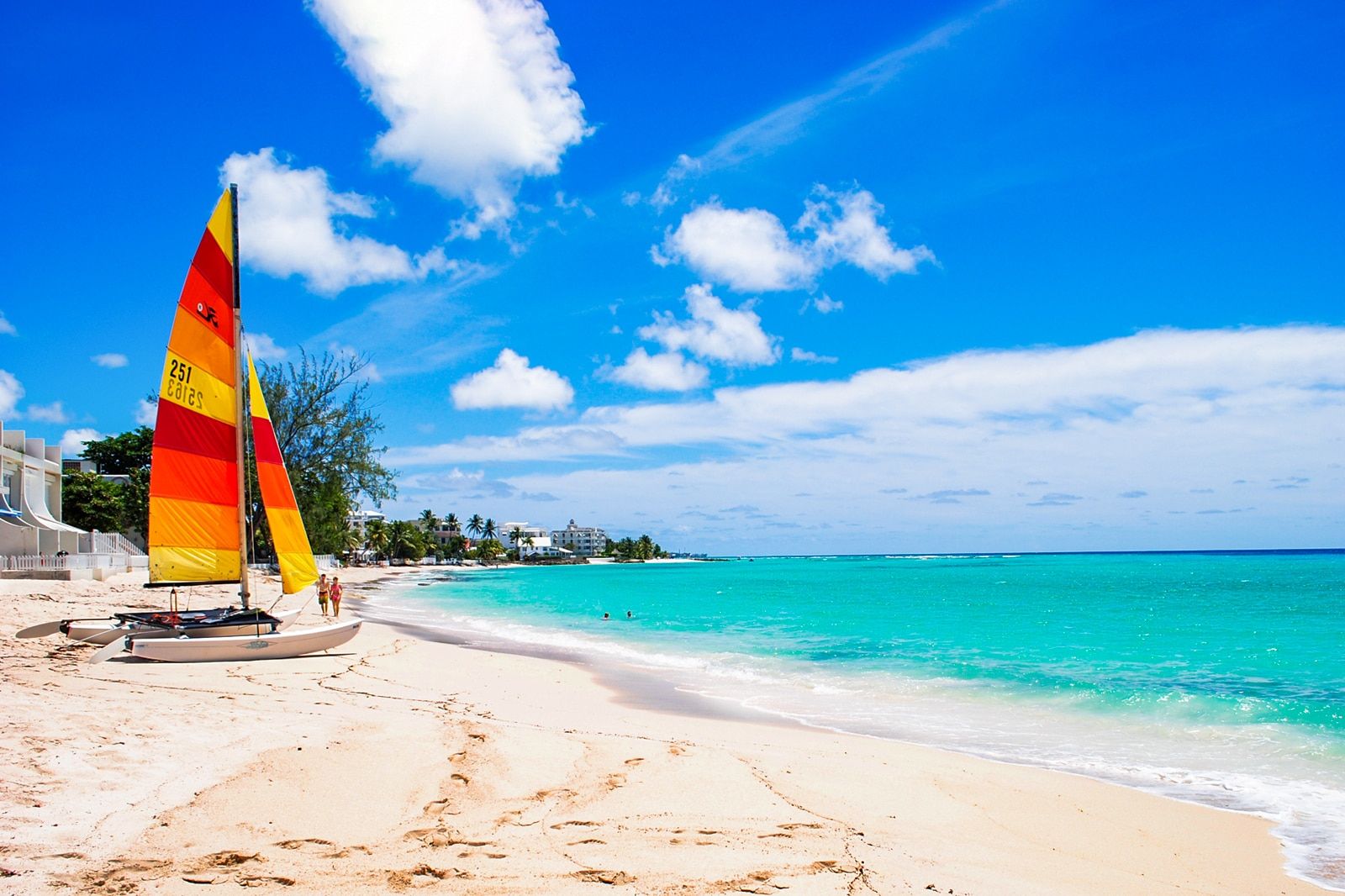 Best Things to Do in Barbados