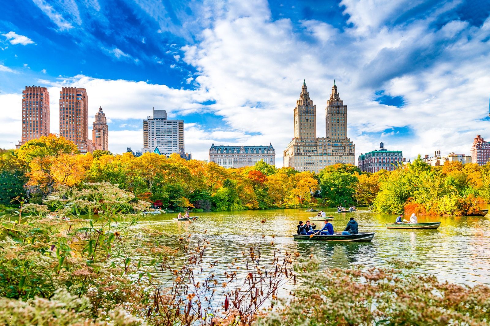 Best Parks in New York