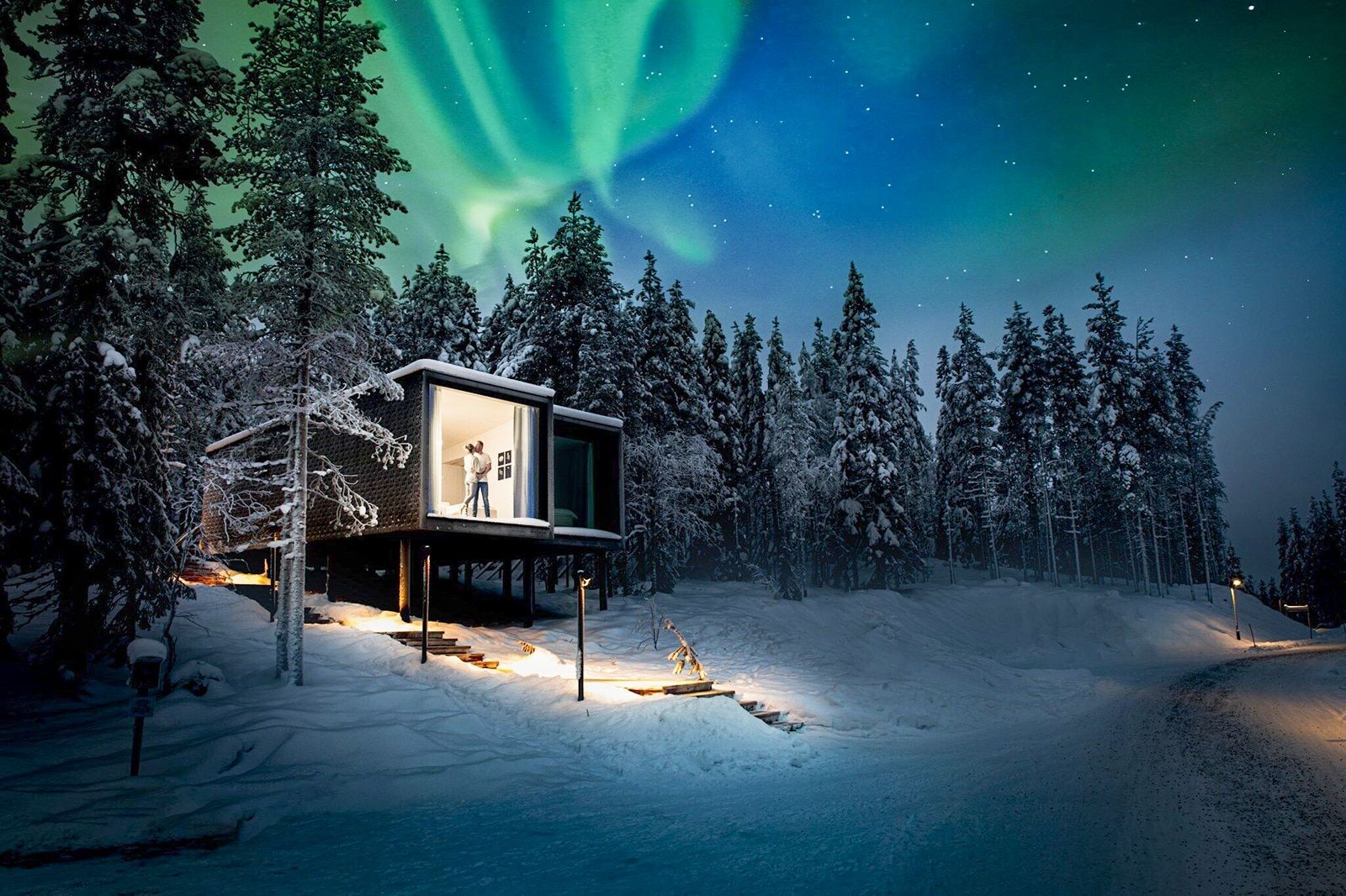 Arctic Tree House