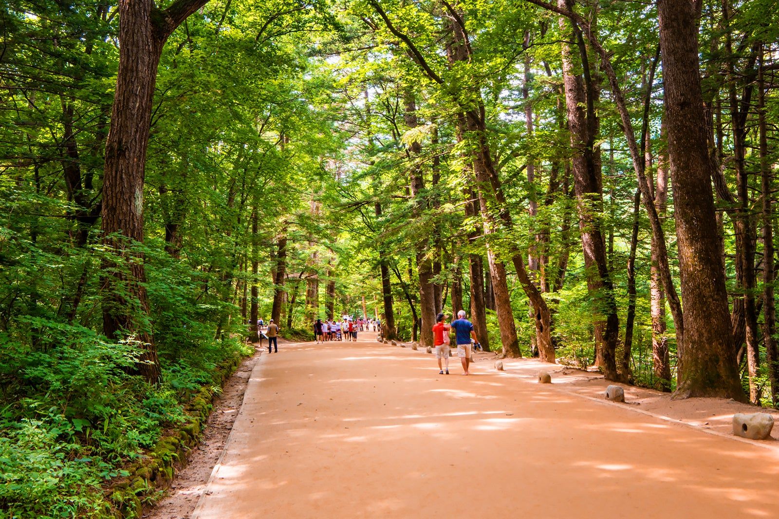 Best Things to Do for Couples in Pyeongchang