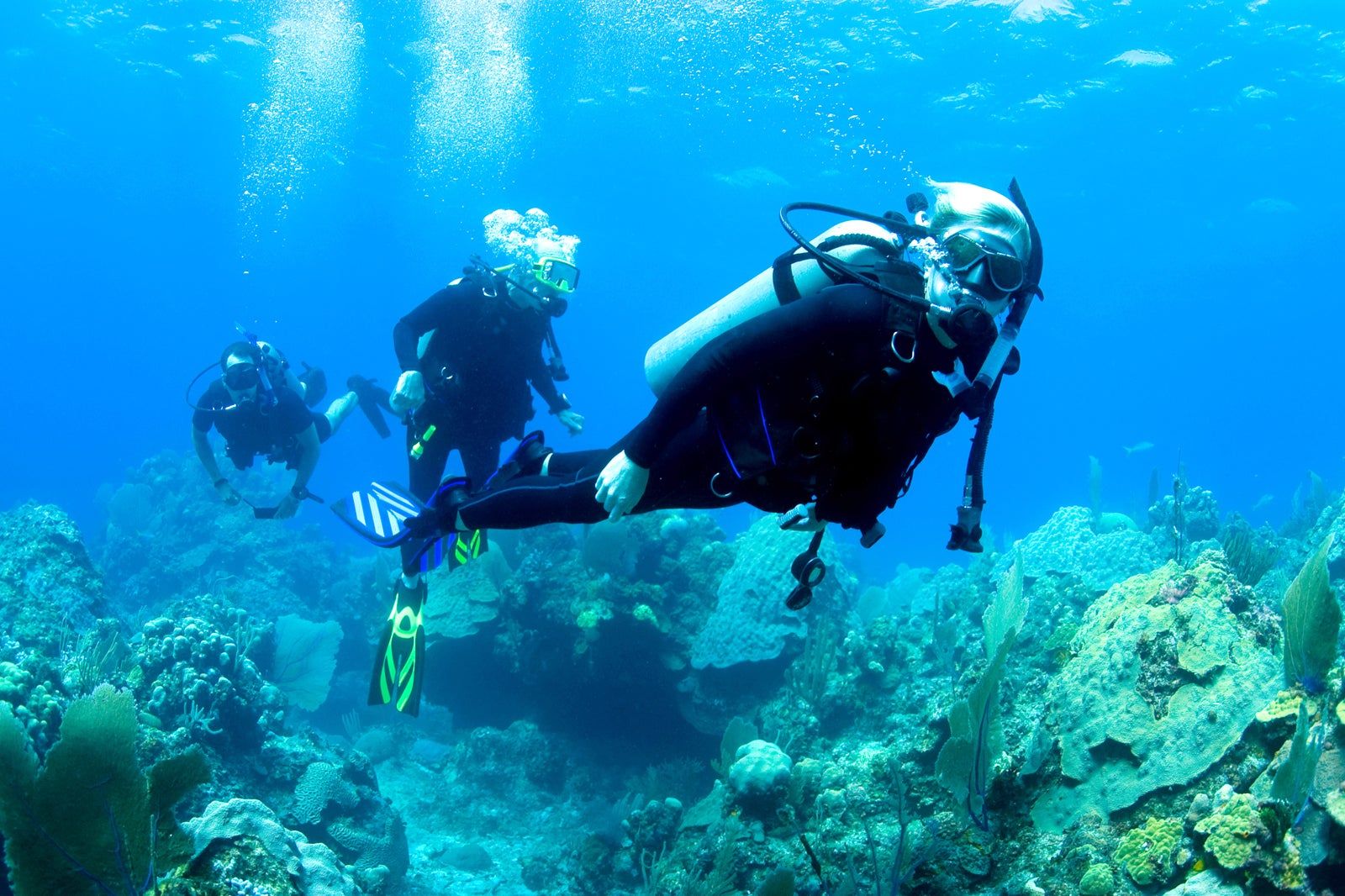 Best Dive Sites