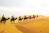 Foto de <a href="https://pixabay.com/photos/caravan-desert-safari-dune-camels-339564/" target="_blank" rel="noreferrer">xisdom</a> (<a href="https://creativecommons.org/share-your-work/public-domain/cc0/" target="_blank" rel="noreferrer">CC0</a>)  modificada