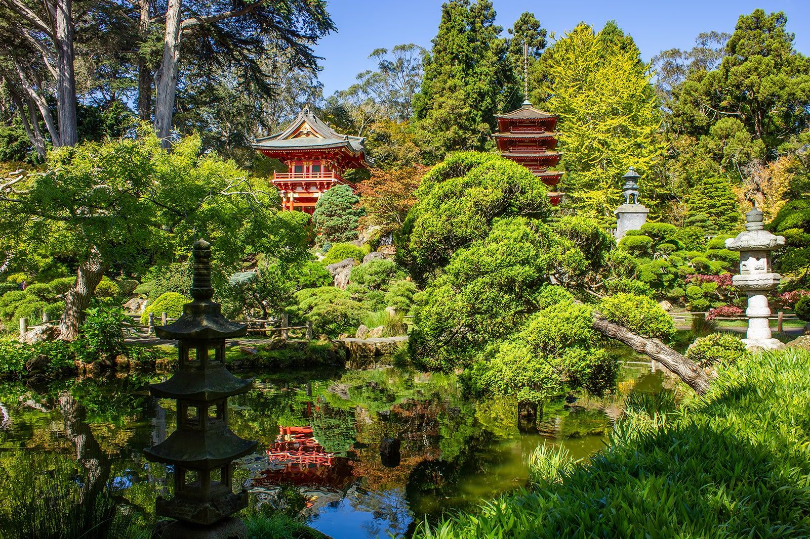 Japanese Tea Garden in San Francisco