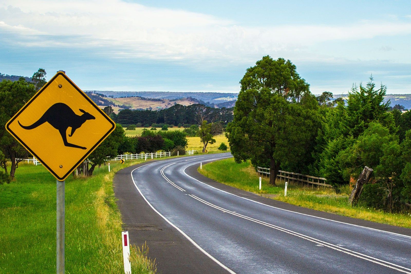 A road disappearing around the bend and a traffic sign with a kangaroo on it.