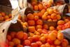 Fresh produce at the farmers market.
