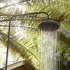 Get close to nature in the outdoor shower, pictured with large ferns arching overhead