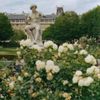 A rose bush and classical sculpture in the Jardin du Palais Royal, Paris